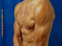 flo05.jpg